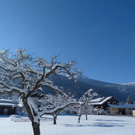 格森斯阿尔卑斯艺术酒店 3*