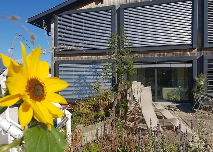 Alp Art 3* גוצנס