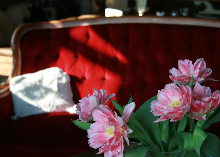 Alp Art מלון גוצנס