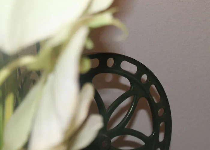 Alp Art 3* גוצנס