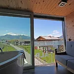 Alp Art Гётценс